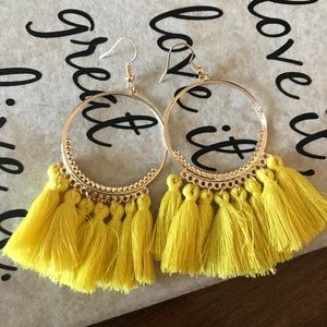 NEW Trendy Tassel Hoop Earrings
NWOT